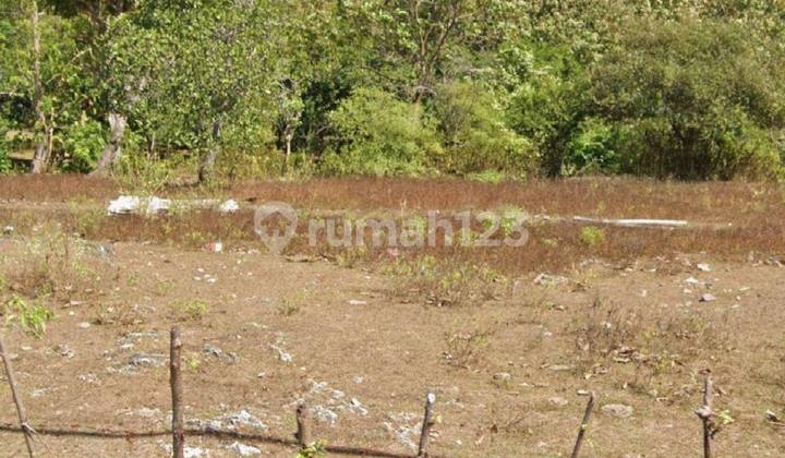 Balangan – Mainroad Land In Pink Zone At Good Price Balangan – Mainroad Land In Pink Zone At Good Price