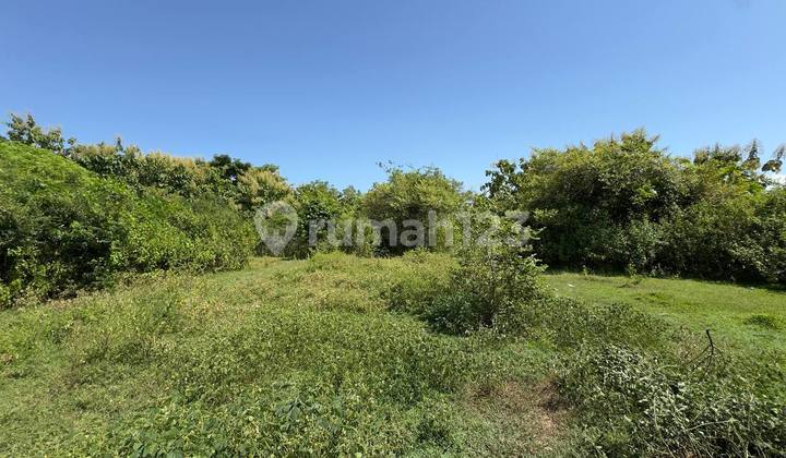 Land Centre In Bingin. Leashold 10 Are Pink Zone Land Centre In Bingin. Leashold 10 Are Pink Zone