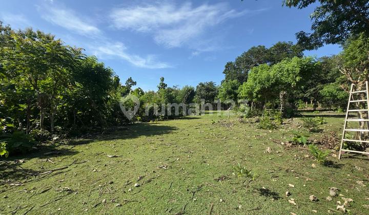 Prospective Land In Balangan – 7 Minutes From The Beach Prospective Land In Balangan – 7 Minutes From The Beach