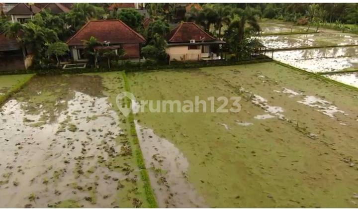Singakerta, Ubud - Rice Field View Land For Sale Singakerta, Ubud - Rice Field View Land For Sale