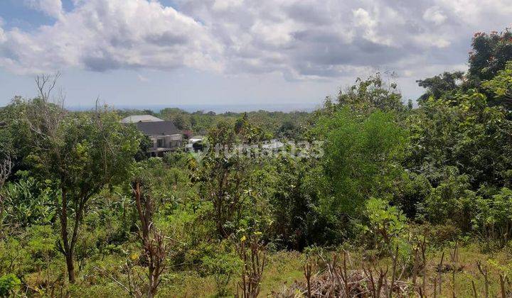 Leasehold Land For Rent In Pecatu 2