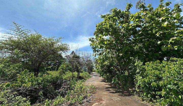 Amazing Land For Investment In Balangan Beach 1