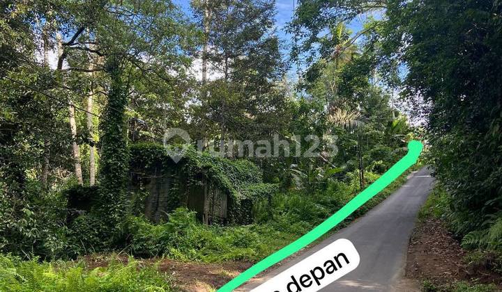 Land For Lease In Ubud 13750.0 m² di Ubud