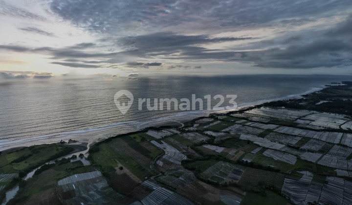 Walking Distance To The Beach Land In Tibubiu, Tabanan Walking Distance To The Beach Land In Tibubiu, Tabanan