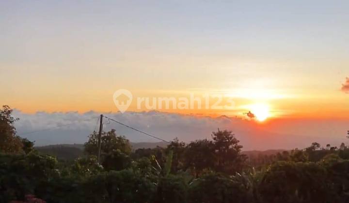 Manigelang Gesing-Bedugul - Land For Sale With Mountain & Sunset Views Manigelang Gesing-Bedugul - Land For Sale With Mountain & Sunset Views