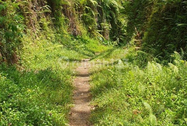 Sebatu Ubud - Land For Sale Near Gunung Kawi Temple