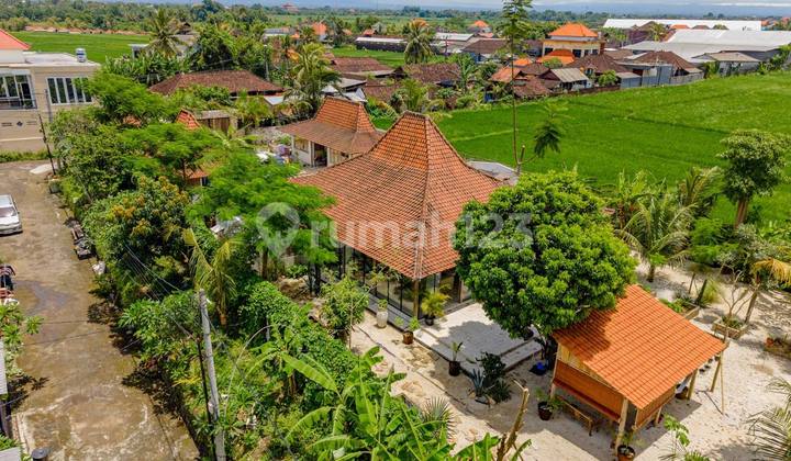 Kedungu - Jonglo Villa 10 Minutes To Beach Kedungu - Jonglo Villa 10 Minutes To Beach