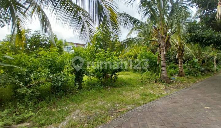 Pandawa Small Land - Freehold Good Price