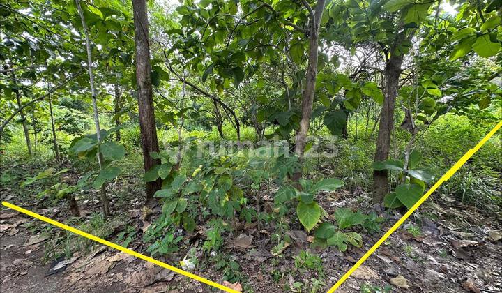 Padang-Padang Uluwatu - Premium Freehold Land For Sale Padang-Padang Uluwatu - Premium Freehold Land For Sale