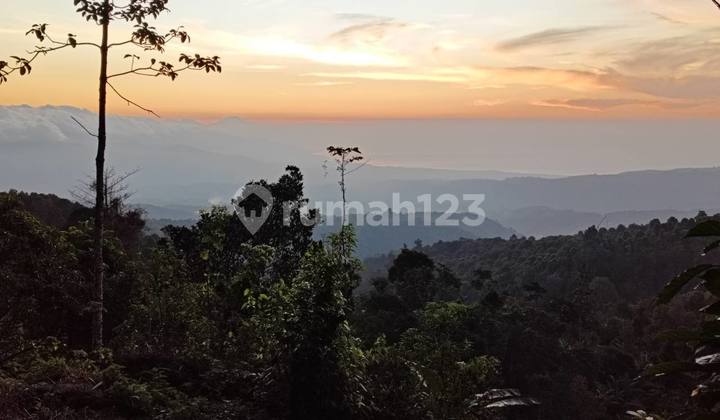 Gesing - Valley, Sea & Sunset View Land For Sale Gesing - Valley, Sea & Sunset View Land For Sale