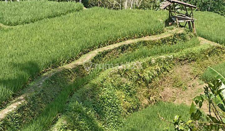 Leasehold Land For Rent In Sebatu, Ubud 2