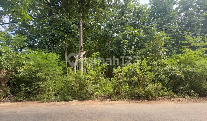 Leasehold Land In Pandawa Land Leashold 4900m