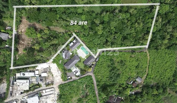 Tanah Dijual di Pecatu 84 Are Hak Milik