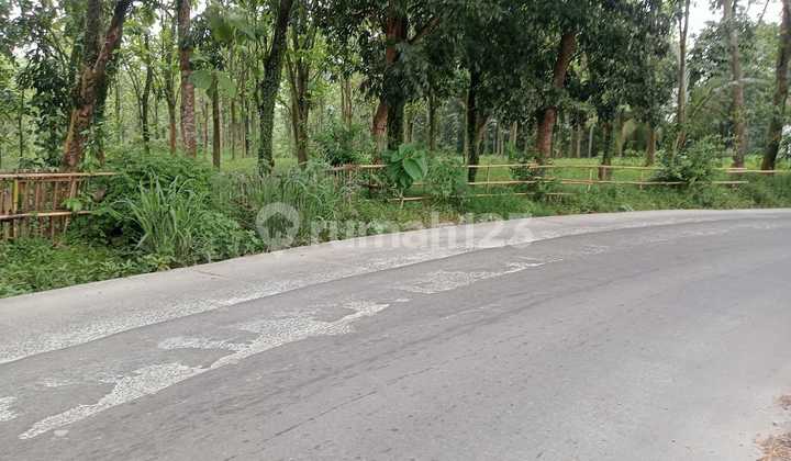 Vacant Land For Sale, Cheap.,.(Ah) By the Roadside Vacant Land For Sale, Cheap.,.(Ah) By the Roadside