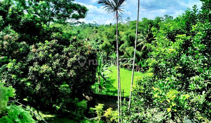 Tanah Di Jalan Raya Sukabumi Cibadak 3,9 Hectare Dijual Cepat
