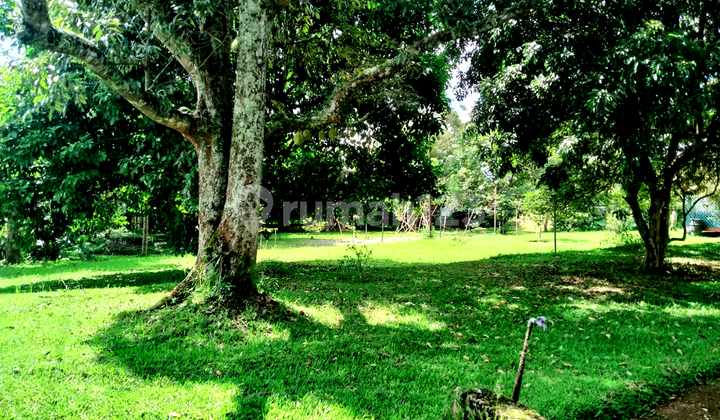 Dijual Tanah Berikut Rumah Di Jalan Raya Sukabumi Cibadak 3,9 Ha