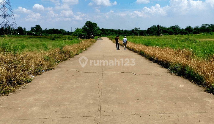 Dijual Tanah Kav Di Area Industri, Citeureup Bogor 2