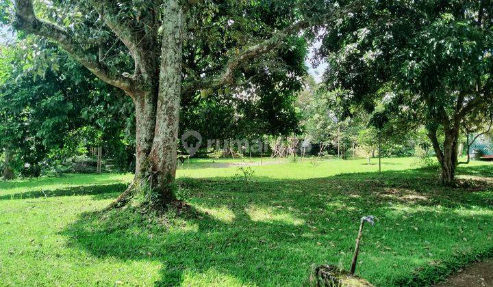 Tanah Dijual Di Jalan Raya Sukabumi 3,9 Hectare  1