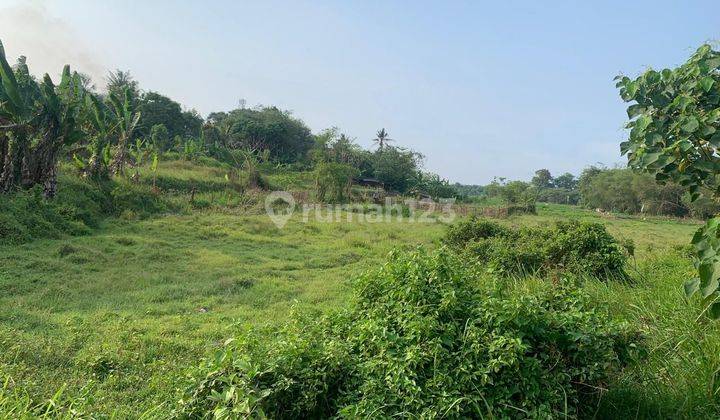 Dijual Tanah 40 Hectare di Cibarengkok Tangerang
 2