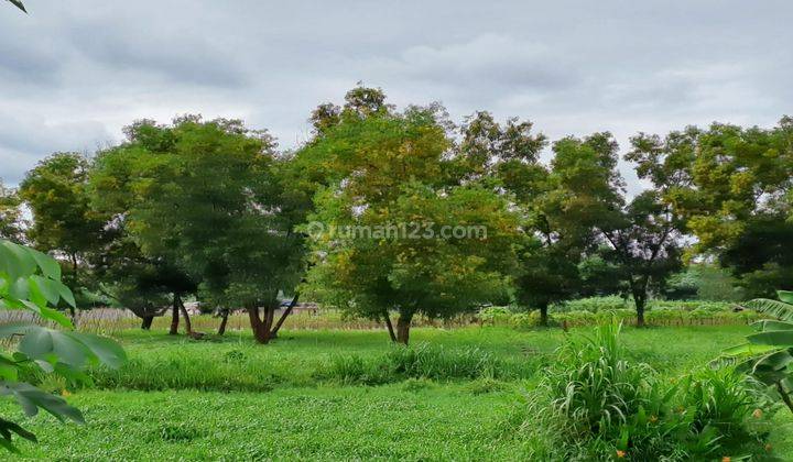 Tanah Murah Lokasi Strategis Siap Bangun Di Puspitek Raya Babakan Tangerang Selatan 1