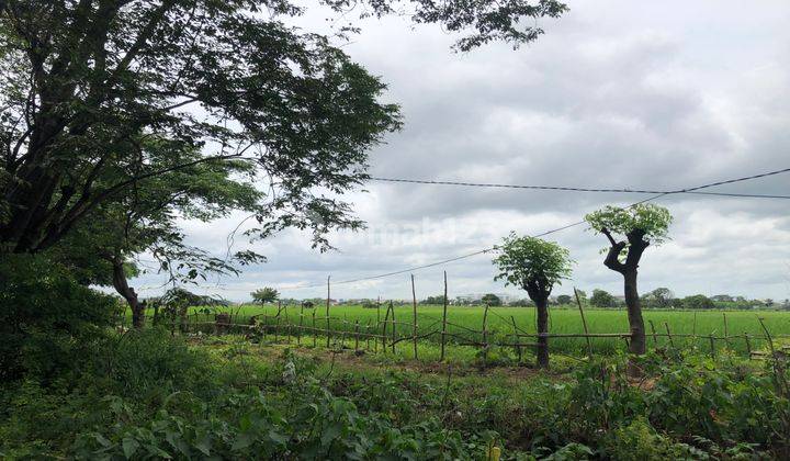 Tanah Industri Untuk Pabrik Atau Gudang Lokasi Strategis Hadap Selatan Di Pancatama Cikande Serang Banten 1