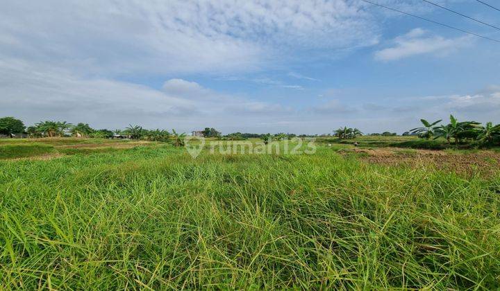 Tanah Murah Posisi Hoek/Hook Sangat Luas 140ha Lokasi Strategis Kawasan Industri Bisa Limbah B3 Pinggir Jalan Raya Utama Di Kawasan Industri Cikande 2