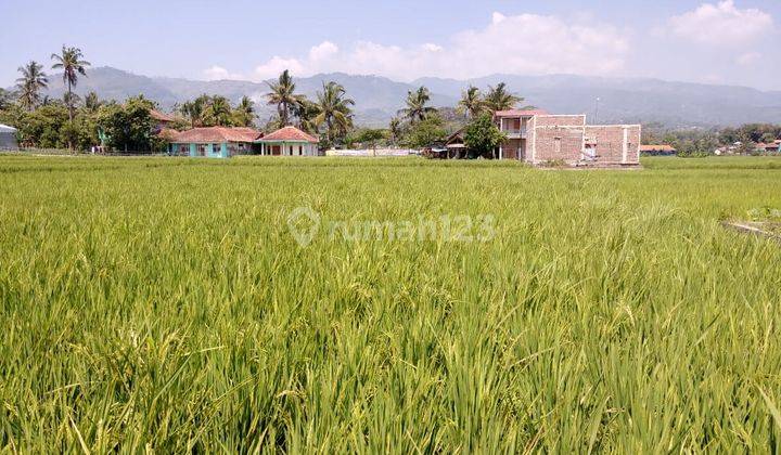 Tanah Sawah Luas di Majalaya Jawa Barat Bs 2