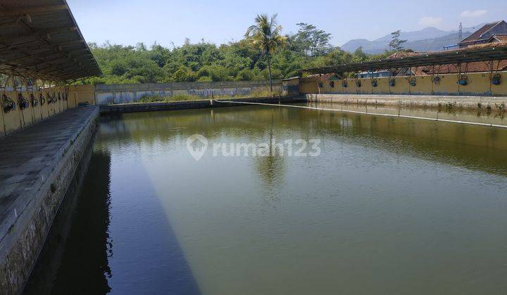 Tanah Kolam Luas di Majalaya Jawa Barat Bs 1