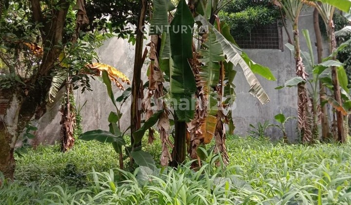 Tanah Kavling di Sayap Sukajadi Cocok untuk Lahan Produktif