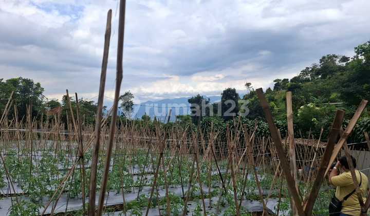 Good Land Ready to Build for House and Villa, Very Strategic