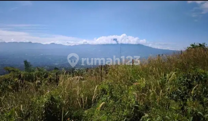 Land with a view after the mountain, near Curug Putri+Boja, very strategic. Land with a view after the mountain, near Curug Putri+Boja, very strategic.