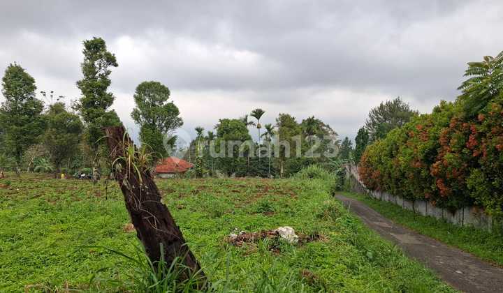Tanah Bagus View Lepas Gunung+kota Sangat Strategis 