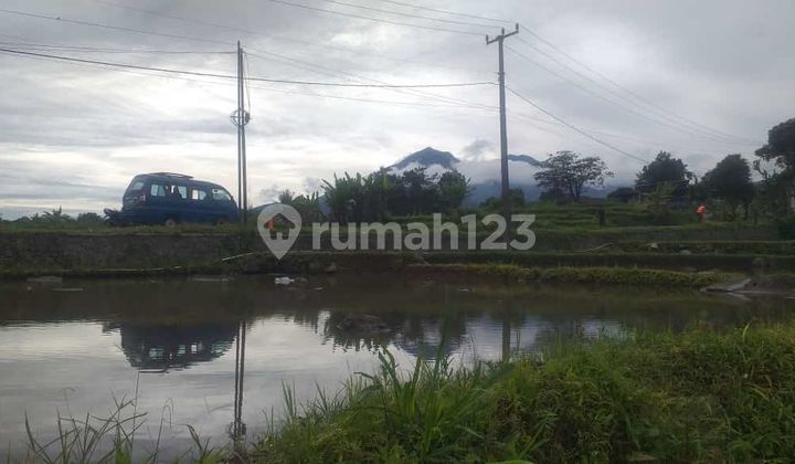 Tanah Sawah Nempel Jalan Kabupaten View Lepas Air Bagus