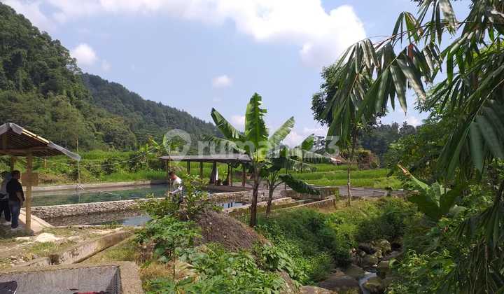 Tanah Tambak Ikan- Pemancingan Sangat Strategis View Lepas Dingin Tanah Tambak Ikan- Pemancingan Sangat Strategis View Lepas Dingin
