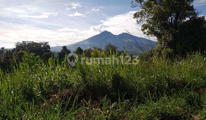 Tanah Untuk Investasi+kebun View Lepas Gunung Nempel Raya Kab