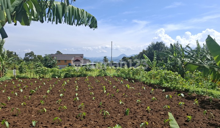Land Near Main Road with Open City and Mountain View