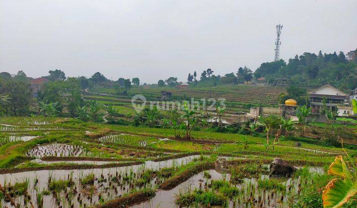 Tanah Sawah Produktif Sangat Strategis View Lepas Ke Gunung  2