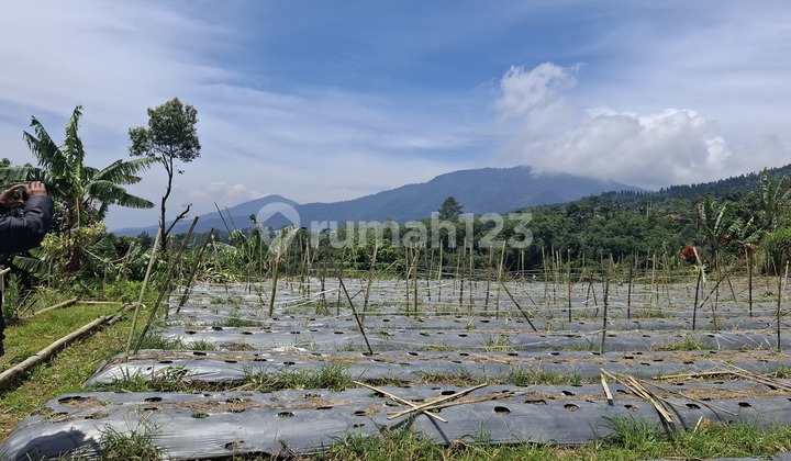 Tanah Full View Paling Good Lepas Banget Gn Salak-Gn Gd Pangrango Tanah Full View Paling Good Lepas Banget Gn Salak-Gn Gd Pangrango