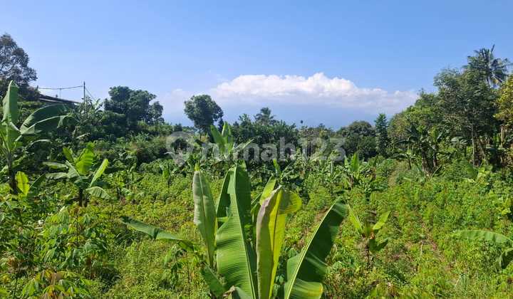 Tanah Bagus Untuk Investasi Villa View Lepas Gunung 
