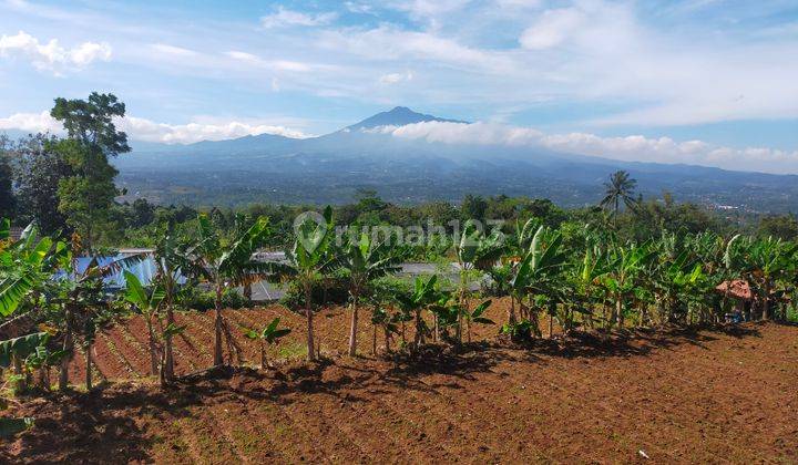 Tanah Rata bagus subur cocok untuk rumah tinggal ataupun villa view sangat the best lokasi strategis dicijeruk  1