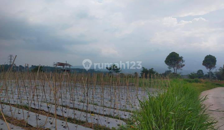 Tanah murah&Rata untuk investasi atau dibikin cafe view the best  1