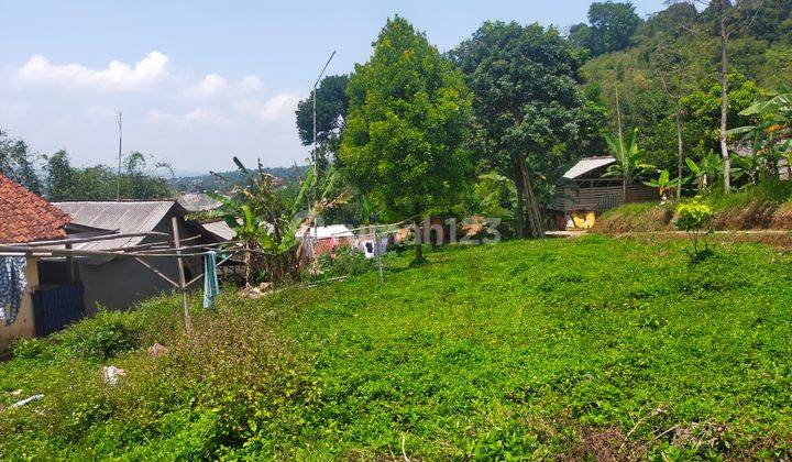Tanah murah &rata lokasi sangat strategis view the best Cijeruk  1