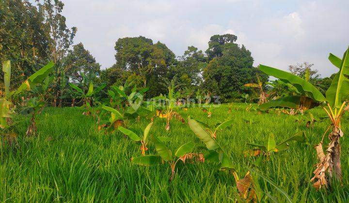 Tanah rata untuk villa ataupun rumah tinggal lokasi strategis 1