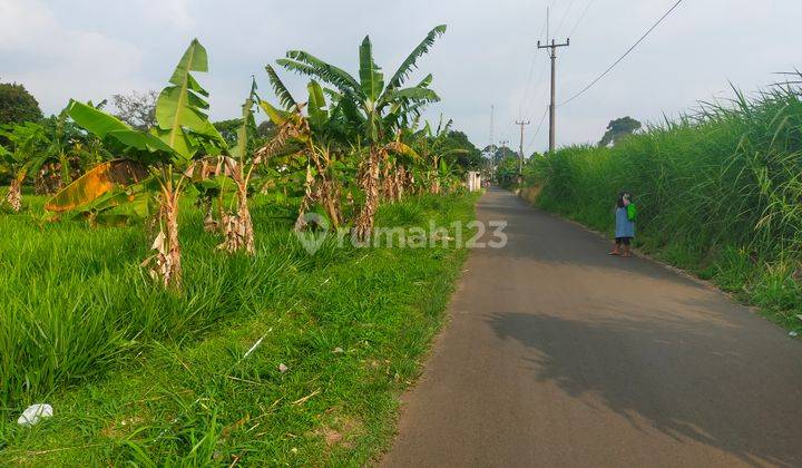 Tanah rata untuk villa ataupun rumah tinggal lokasi strategis 2