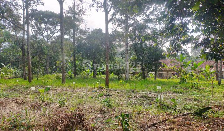 Tanah untuk berkebun atau investasi lokasi strategis  1