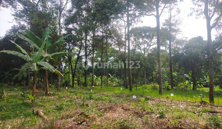 Tanah untuk berkebun atau investasi lokasi strategis  2