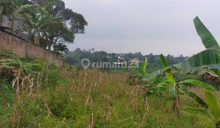 Tanah rata lokasi sangat strategis cocok untuk villa dicaringin  2