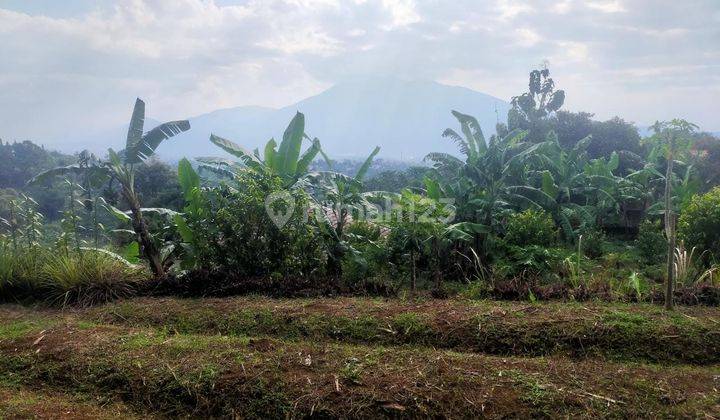Tanah murah sudah dipagar keliling view lepas ke gunung dicimande