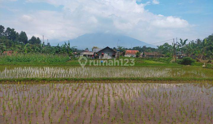 Tanah sawah murah lokasi strategis view lepas ke gunung dcaringin 1