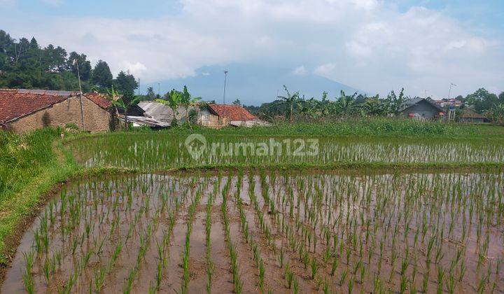 Tanah sawah murah lokasi strategis view lepas ke gunung dcaringin 2